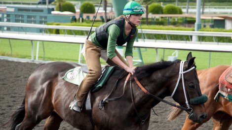 (Source: http://www.hollywoodreporter.com/)